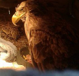 FB_IMG_1564301092602 FB_IMG_1564301092602