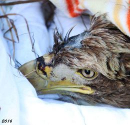 FB_IMG_1565166625010 FB_IMG_1565166625010