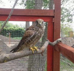 FB_IMG_1565166705770 FB_IMG_1565166705770