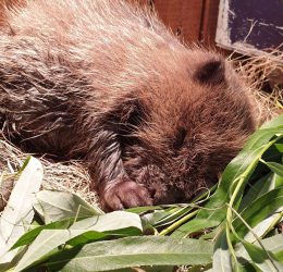 received_2111455319154765 received_2111455319154765